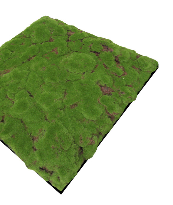 Jangal Modular Wall mospanel 52 x 52 cm - Forrest Green Bulk